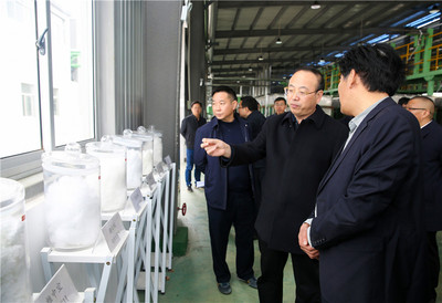 張祥安赴迎江區調研經濟社會發展及市場環境