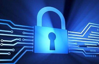 筑牢數字防線 公共Wi-Fi安全使用與互聯網信息服務防護指南