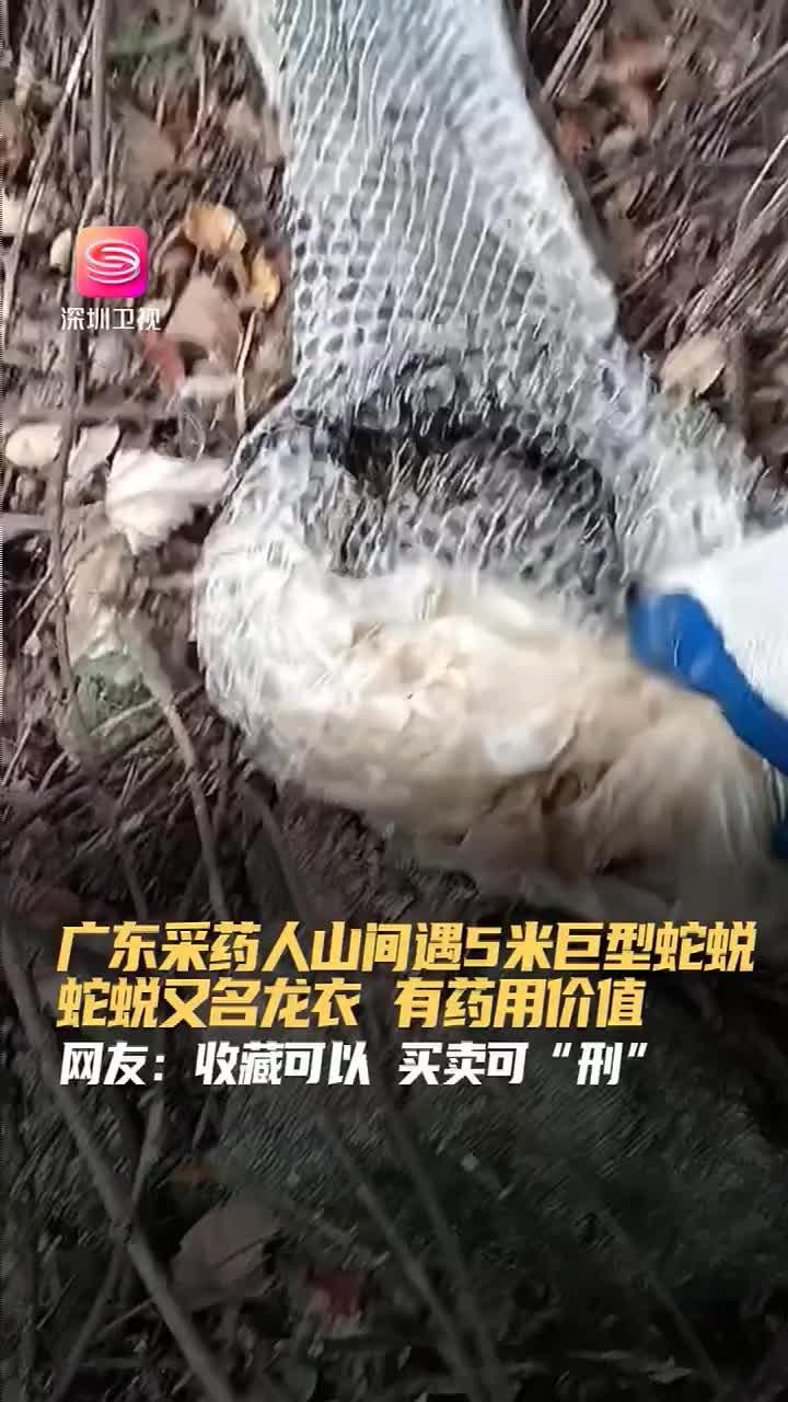 根植浙大科研，引領(lǐng)室內(nèi)健康——浙江冰蟲(chóng)環(huán)保科技發(fā)展紀(jì)實(shí)